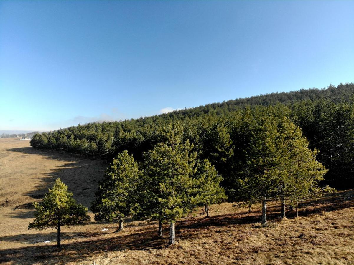 Ferienwohnung Zlatibor Hills Royal Exterior foto
